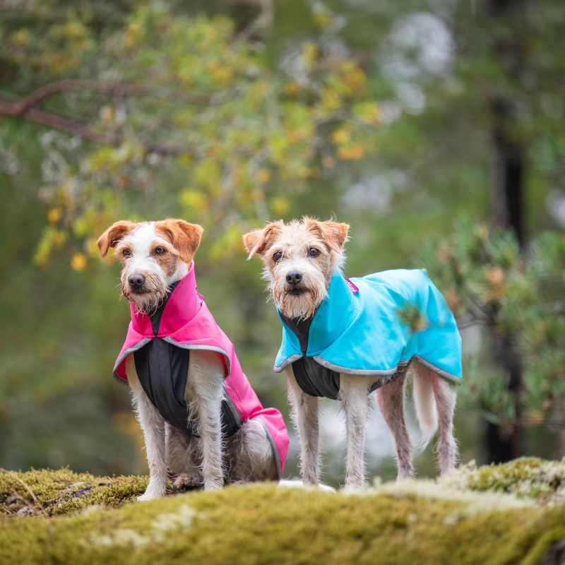 SporttiPomppa Softshell Hundemantel