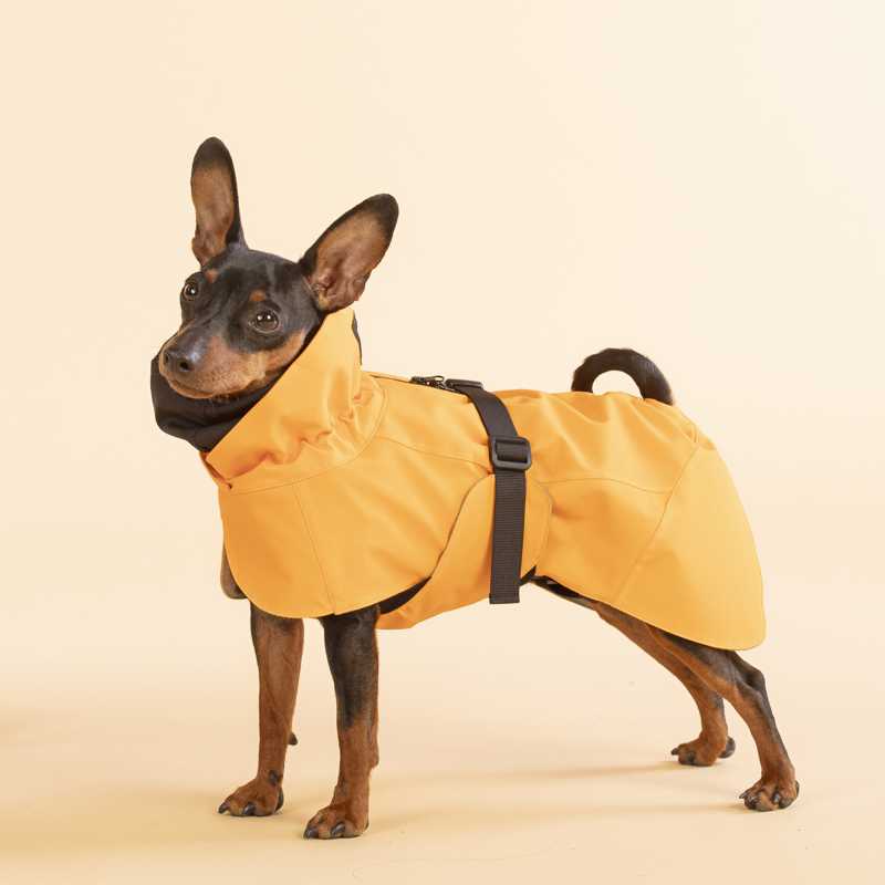 hundebett wolke 7 waschen Therapeutisches und Kuscheliges Hundebett "Wolke 7"