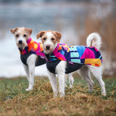 15 Jahre Pomppa! Wir feiern mit Jumppa Femton Hundepullover Limited Edition!