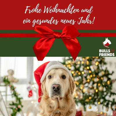 Frohe Weihnachten und ein gesundes neues Jahr!