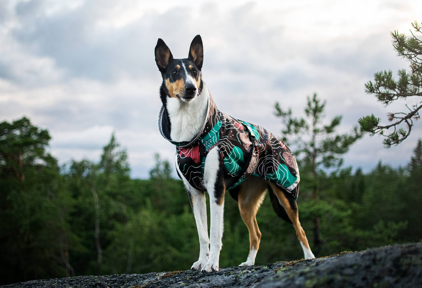 Pomppa Regenmäntel für Hunde.
