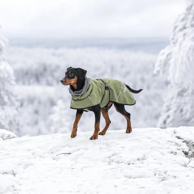 Rukka pets Regenmantel und Wintermantel für Hunde