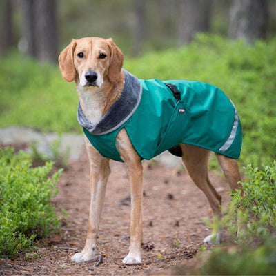 Hunde Regenmantel Kevyt Pomppa Forest