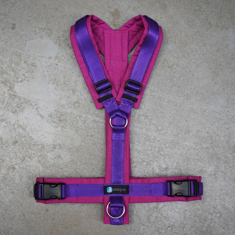 Hundegeschirr AnnyX Sonderfarbe