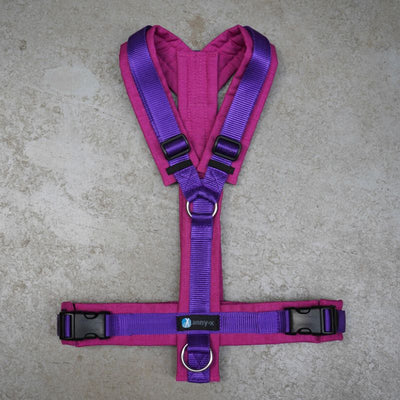 Hundegeschirr AnnyX Sonderfarbe