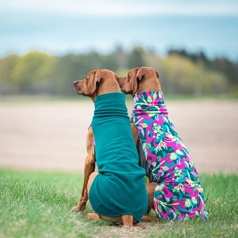 Hundepullover Jumppa Pomppa Trail