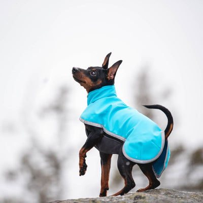 SporttiPomppa Softshell Hundemantel