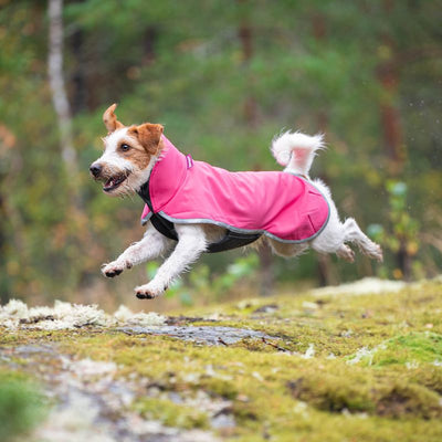 SporttiPomppa Softshell Hundemantel
