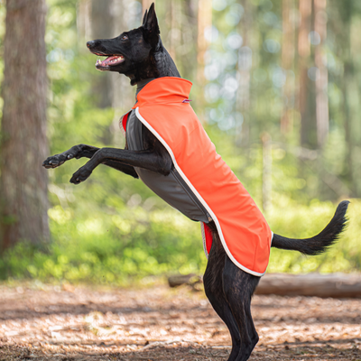 SporttiPomppa Softshell Hundemantel