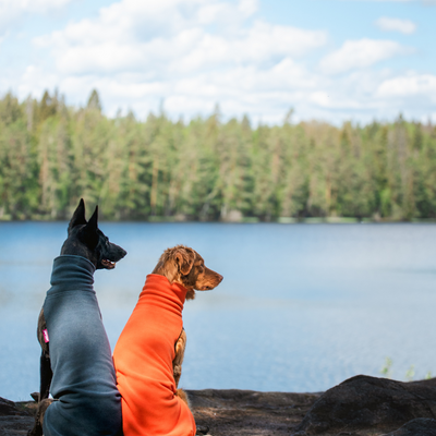 Hundepullover Jumppa Pomppa Midnight