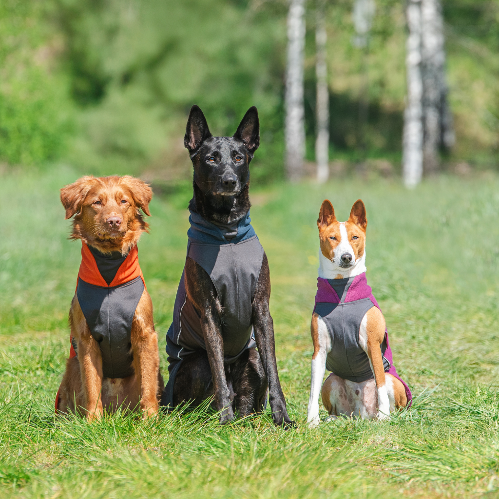 Hundepullover Jumppa Pomppa Midnight