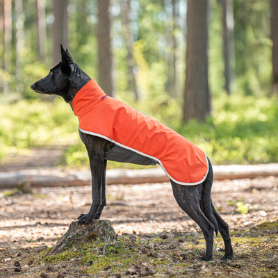 SporttiPomppa Softshell Hundemantel