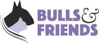Bulls And Friends Logo