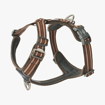 Hundegeschirr von DOG Copenhagen Comfort Walk Air v3