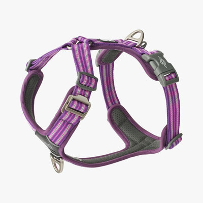 Hundegeschirr von DOG Copenhagen Comfort Walk Air v3
