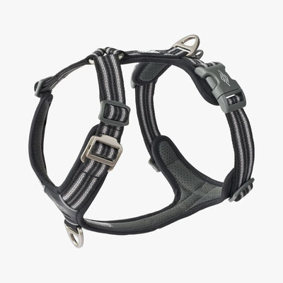 Hundegeschirr von DOG Copenhagen Comfort Walk Air v3