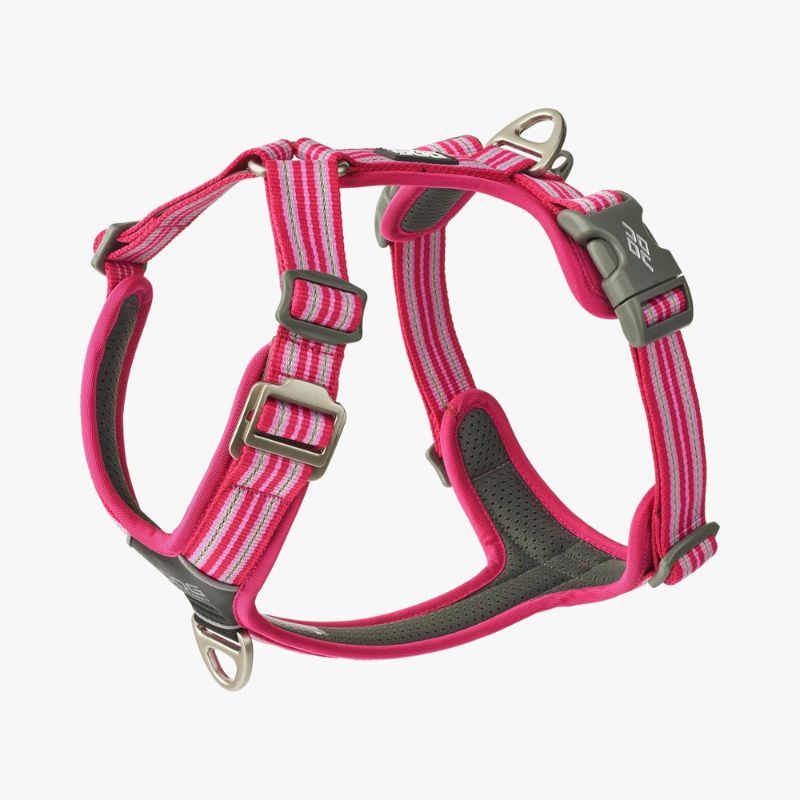 Hundegeschirr von DOG Copenhagen Comfort Walk Air v3