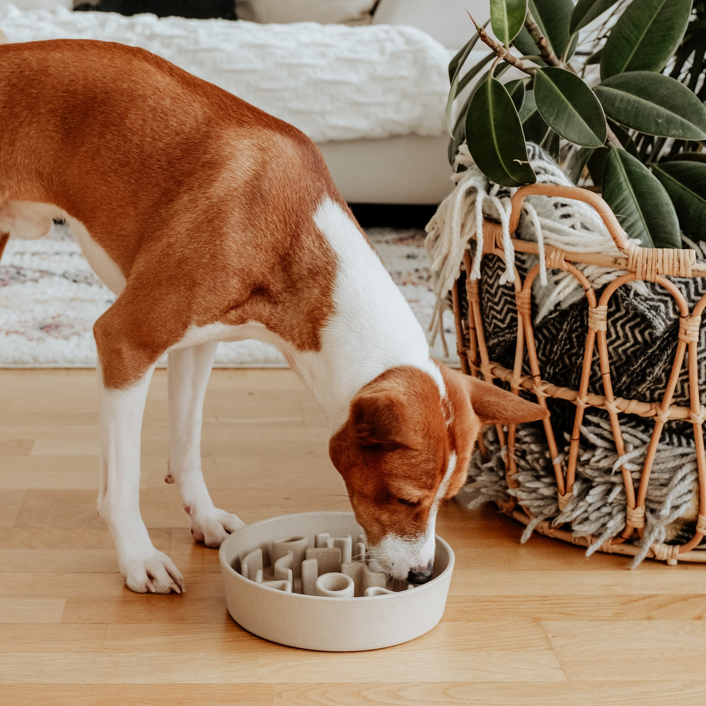 District 70 BAMBOO Hunde Slow Feeder Anti Schling Napf ø 21cm