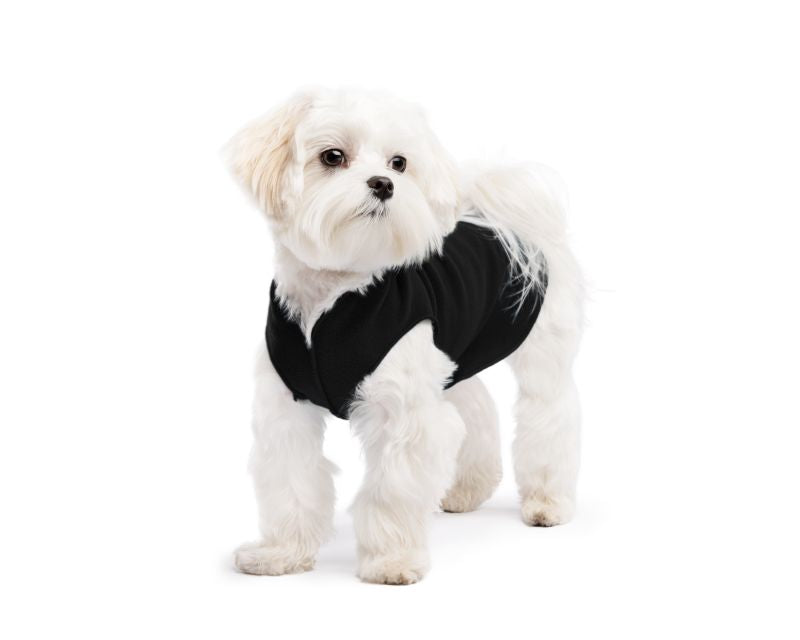 Hundepullover Goldpaw Stretch Fleece Schwarz