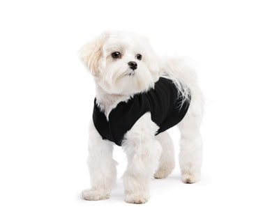 Hundepullover Goldpaw Stretch Fleece Schwarz