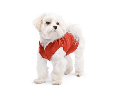 Hundepullover Goldpaw Stretch Fleece Paprika