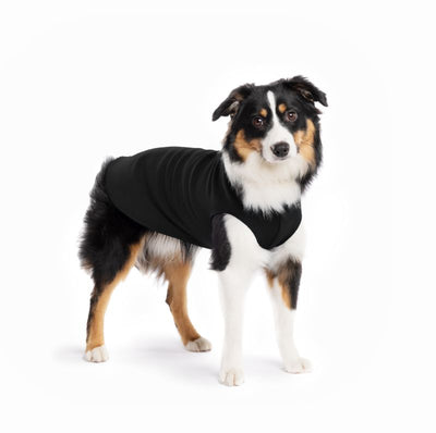 Hundepullover Goldpaw Stretch Fleece Schwarz