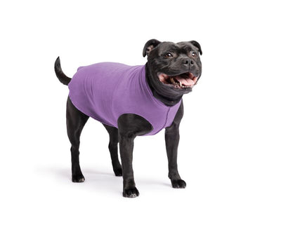 Hundepullover Goldpaw Stretch Fleece Blaubeere