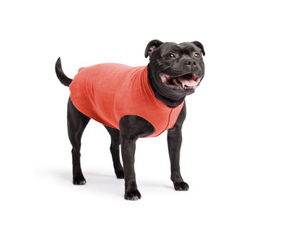 Hundepullover Goldpaw Stretch Fleece Paprika