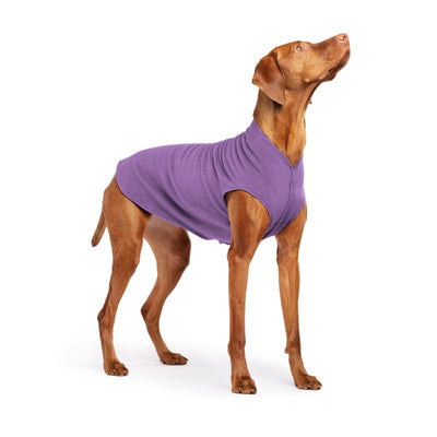 Hundepullover Goldpaw Stretch Fleece Blaubeere