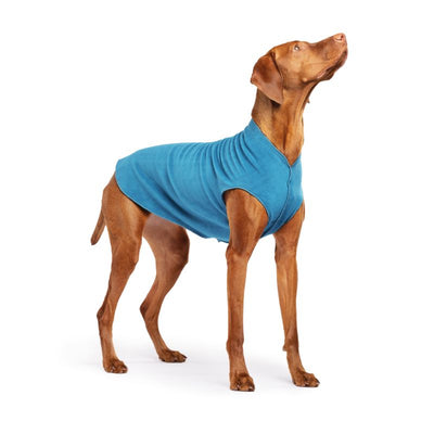 Hundepullover Goldpaw Stretch Fleece Petrol