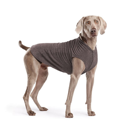 Hundepullover Goldpaw Stretch Fleece Grau