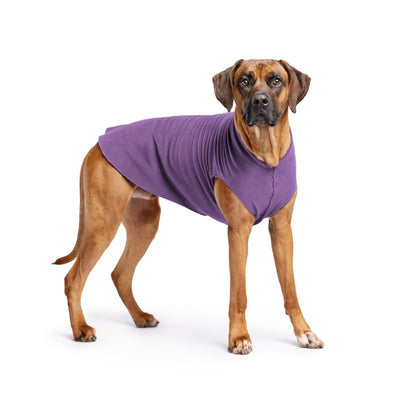 Hundepullover Goldpaw Stretch Fleece Blaubeere