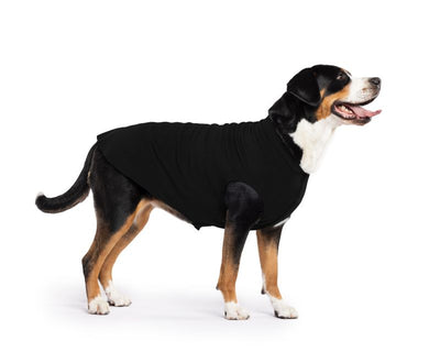 Hundepullover Goldpaw Stretch Fleece Schwarz
