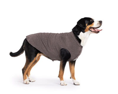 Hundepullover Goldpaw Stretch Fleece Grau