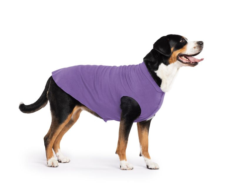 Hundepullover Goldpaw Stretch Fleece Lavendel