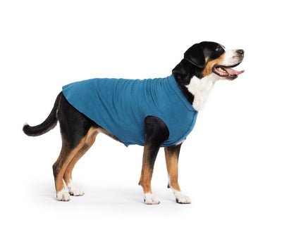 Hundepullover Goldpaw Stretch Fleece Petrol