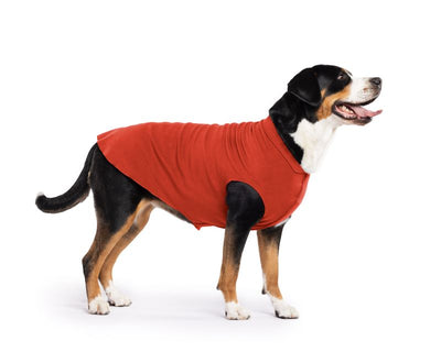 Hundepullover Goldpaw Stretch Fleece Paprika