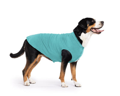 Hundepullover Goldpaw Stretch Fleece Türkis
