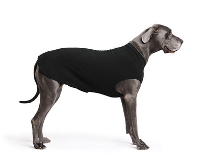 Hundepullover Goldpaw Stretch Fleece Schwarz