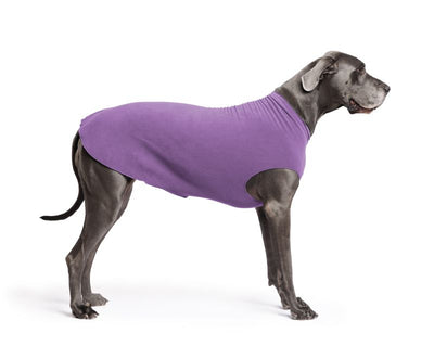 Hundepullover Goldpaw Stretch Fleece Blaubeere