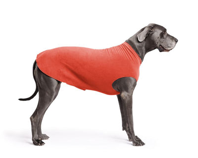 Hundepullover Goldpaw Stretch Fleece Paprika