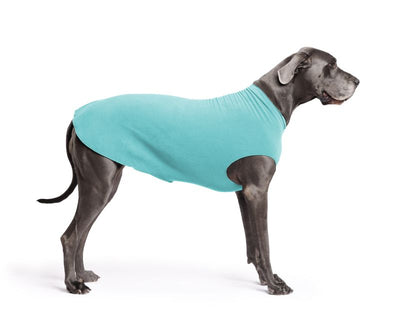 Hundepullover Goldpaw Stretch Fleece Türkis