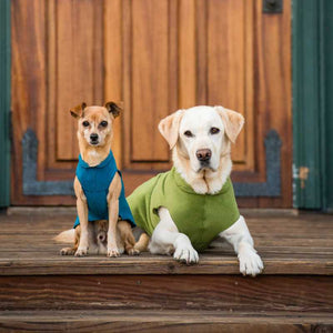 Goldpaw Hundepullover