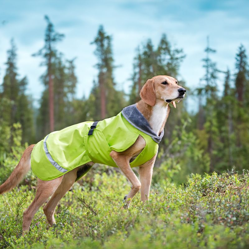 Hunde Regenmantel Kevyt Pomppa Lime