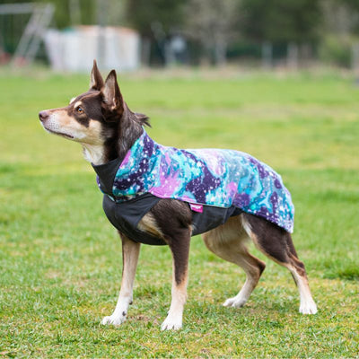 Hundepullover Jumppa Pomppa Aurora