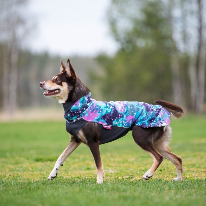 Hundepullover Jumppa Pomppa Aurora