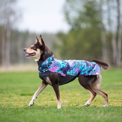 Hundepullover Jumppa Pomppa Aurora