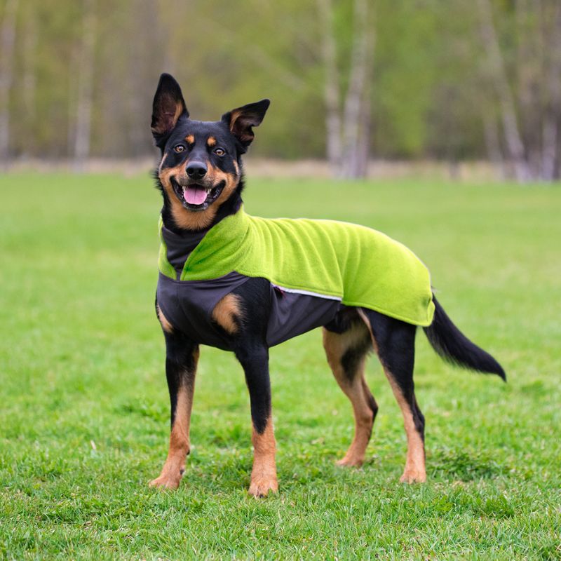 Hundepullover Jumppa Pomppa Lime