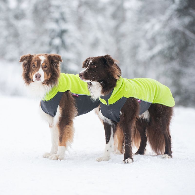 Hundepullover Jumppa Pomppa Lime