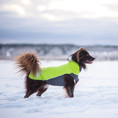 Hundepullover Jumppa Pomppa Lime